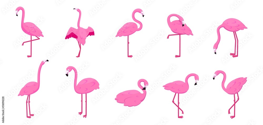 Tropical flamingo. Exotic animal. Pink print. Summer icon. Birds of wild nature. Cartoon design elements. Avian poses set. Feathered creature with long neck. Vector illustration background Tropical flamingo. Exotic animal. Pink print. Summer icon. Birds of wild nature. Cartoon design elements. Avian poses set. Feathered creature with long neck. Vector illustration background