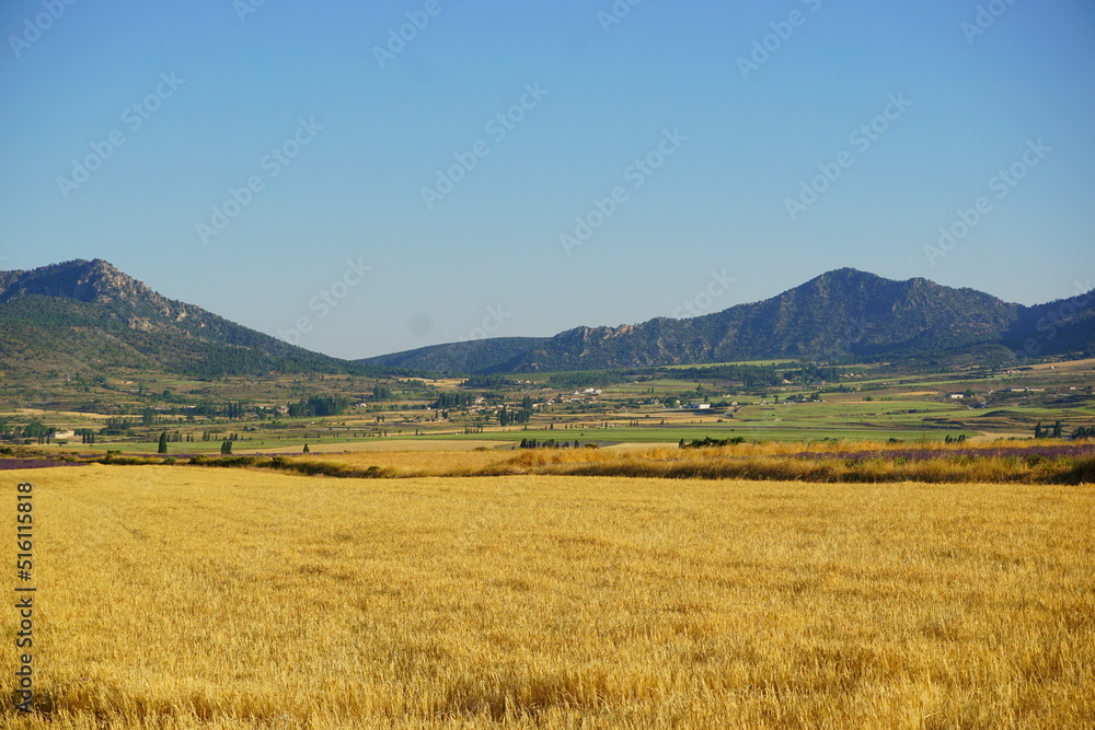 landscape with mountains in Campo de San Juan, Spain