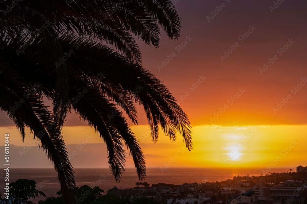 Fototapeta premium Beautiful colorful sunset sky with silhouette palm trees in the foreground on Costa Adeje beach on Tenerife, Canary Islands, Spain, Europe, EU. Vacation vibes on touristic island in the Atlantic Ocean