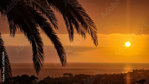 Beautiful colorful sunset sky with silhouette palm trees in the foreground on Costa Adeje beach on Tenerife, Canary Islands, Spain, Europe, EU. Vacation vibes on touristic island in the Atlantic Ocean photo