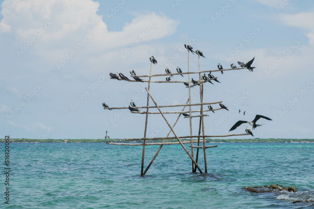 Gaviotas posadas y volando al rededor de estrucutura de madera cerca de la playa en día soleado, Cartagena Colombia Gaviotas posadas y volando al rededor de estrucutura de madera cerca de la playa en día soleado, Cartagena Colombia