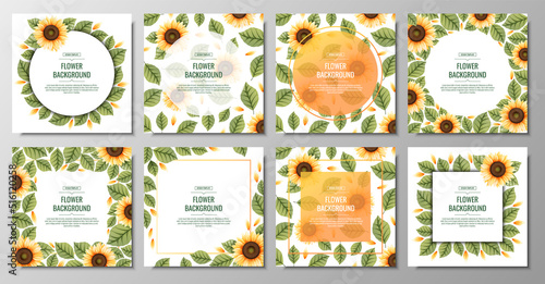 Set of square backgrounds with sunflowers. Floral frame with yellow flowers and green leaves.. Banner, poster, flyer, postcard. Summer illustration.