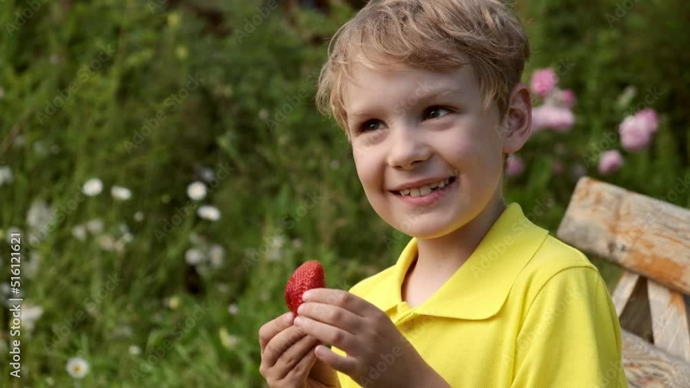 Cute boy child eating freshly picked strawberries at garden. Healthy and vegan nutrition natural products with vitamins. Cute boy child eating freshly picked strawberries at garden. Healthy and vegan nutrition natural products with vitamins.