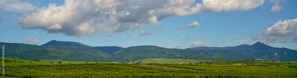 Alsace landscape, France