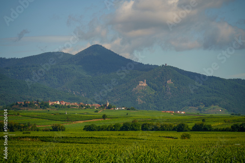 Alsace landscape, France