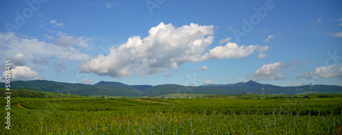 Alsace landscape, France © mehdi33300