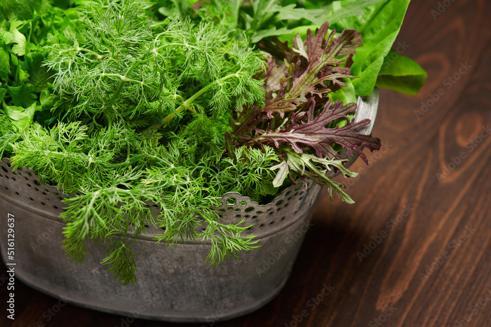 a top of bunch of green dill, parsley, salad and other greens in an iron bucket, dark wooden background, concept of fresh vegetables and healthy food a top of bunch of green dill, parsley, salad and other greens in an iron bucket, dark wooden background, concept of fresh vegetables and healthy food
