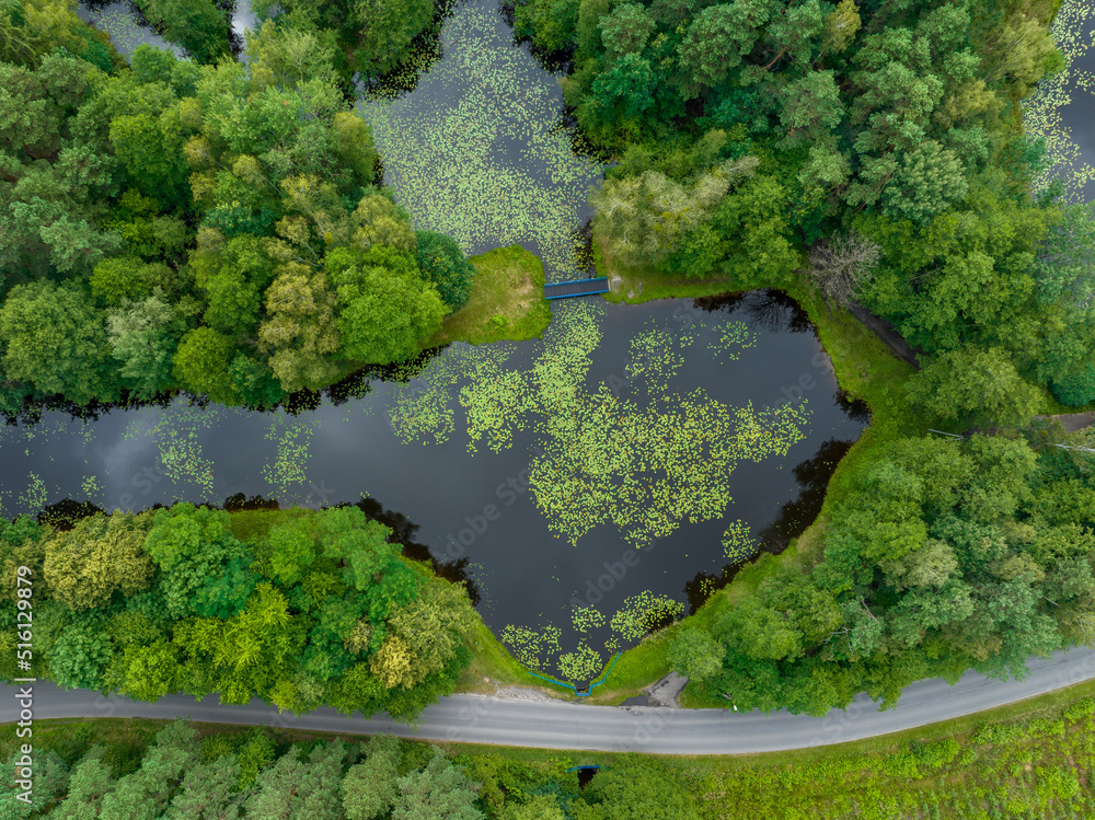 Naklejka premium Aerial view of green lake bank. Natural habitat for wild nature and recreation area.