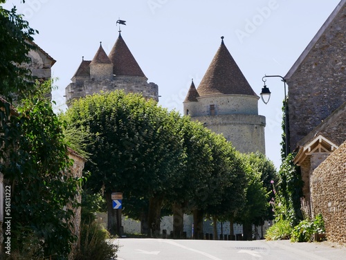 Château fort du XIIIème siècle à Blandy-les-Tours en Seine et Marne. France