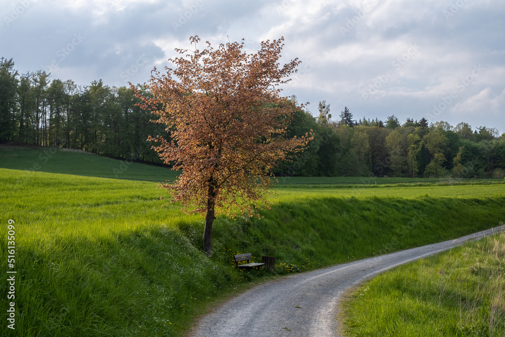 Country landscape in sunshine in Germany