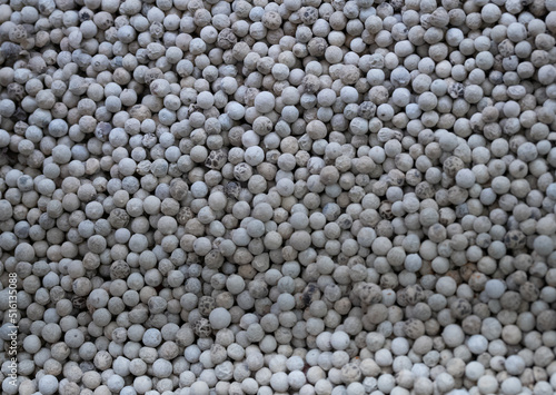 the white pepper close up
