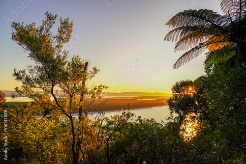 Sunset from Mt Maunganui through trees with view of ocean.