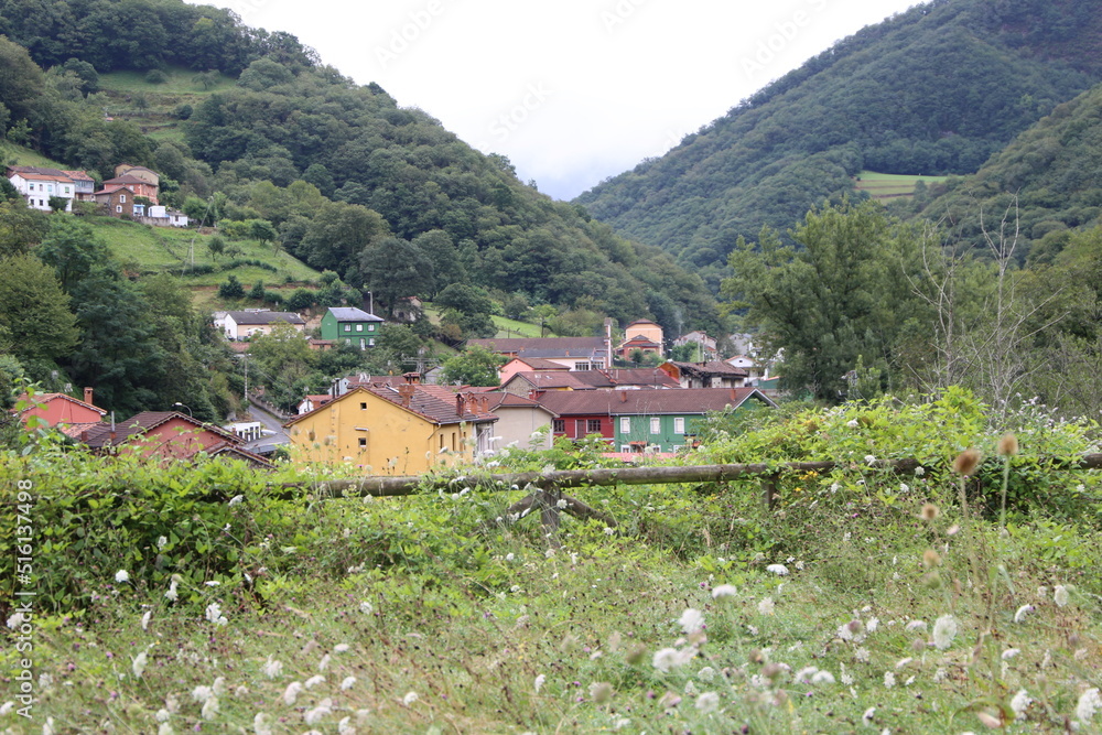 Obraz premium Paisaje rural 