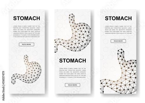 Set of three Stomach polygonal vertical banners. 3d Organ anatomy low poly symbols with connected dots. Vertical illustration for homepage design.