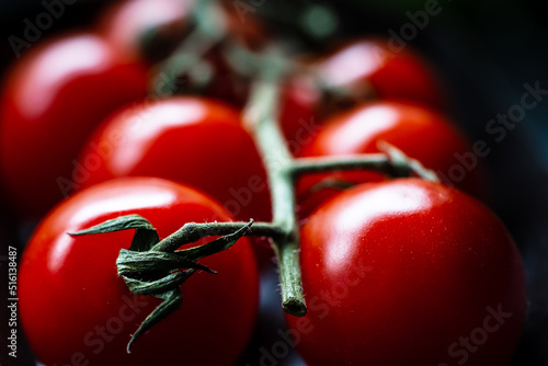 Strauchtomaten photo