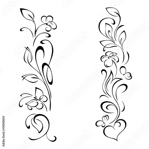 decorative oblong design with floral elements and vignettes. graphic decor, bordure