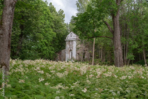 ruins of manor in saaremaa, estonia © Urmas