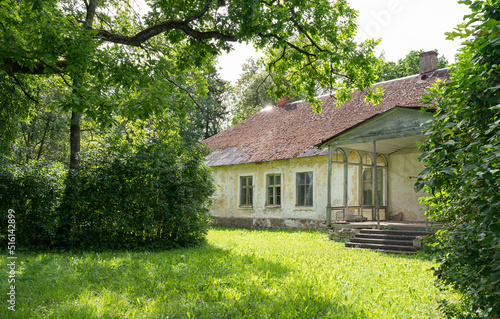 old anor in estonia photo