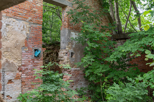 Fototapeta Naklejka Na Ścianę i Meble -  ruins of manor in saaremaa, estonia