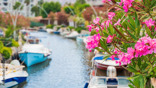 Картината върху платно View of the canal from the bridge to boats and motorboats
