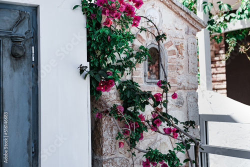 Leinwand Poster tiny wooden door at mediterranean or aegean typical house facade, blooming bouga