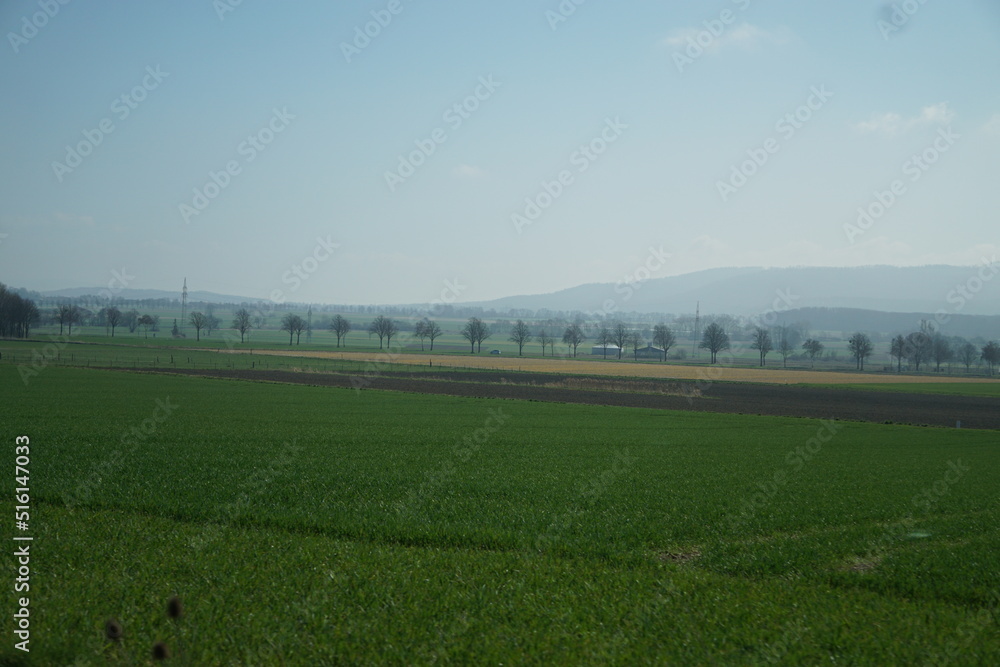 Fototapeta premium Natur (Germany)