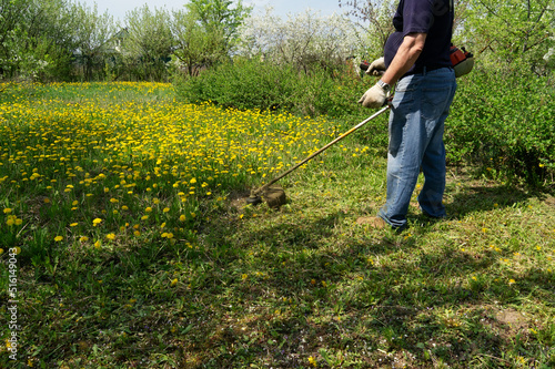 work to mow grass and dandelions with a trimmer. process of mowing tall grass with a trimmer.