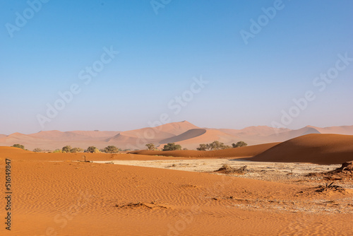 Sand dune in Sossuvlei, Namib desert, Namib-Naukluft National PArk, Namibia