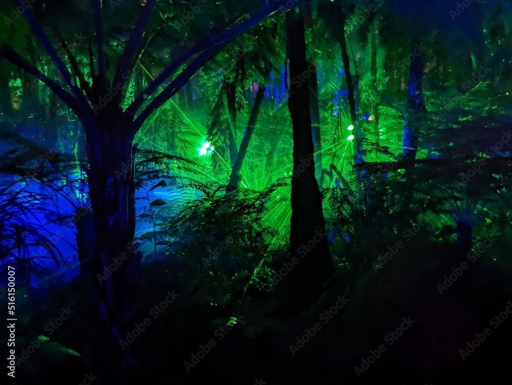 Lasers through the trees at night