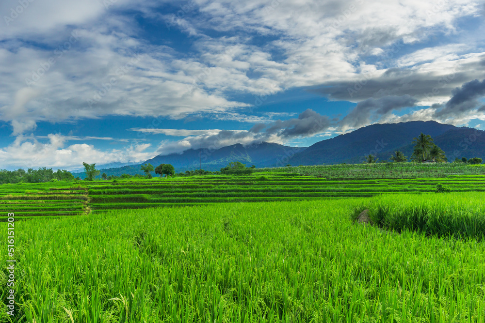 Natural panorama of rice fields and mountains in rural Indonesia with sunrise