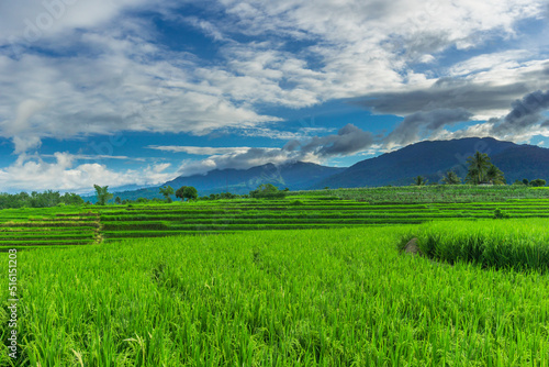 Natural panorama of rice fields and mountains in rural Indonesia with sunrise © RahmadHimawan