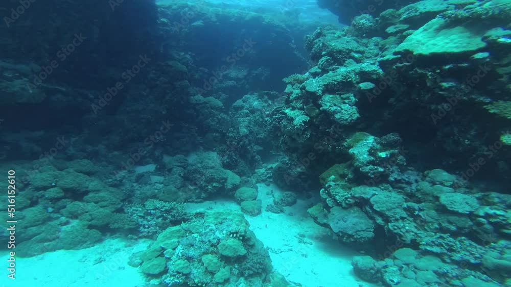 Mysterious caves of the Red Sea Mysterious caves of the Red Sea