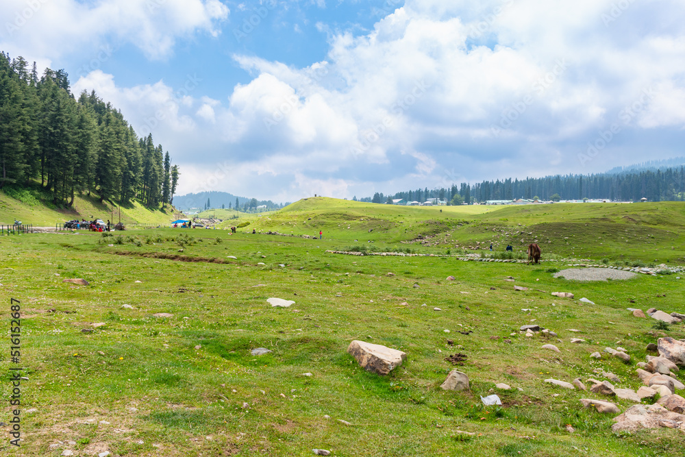 Landscape scenic of hills forests in beautiful kashmir. Dal lake, pahalgam, Gulmarg, Baramulla, kupwara add beauty to Kashmir.