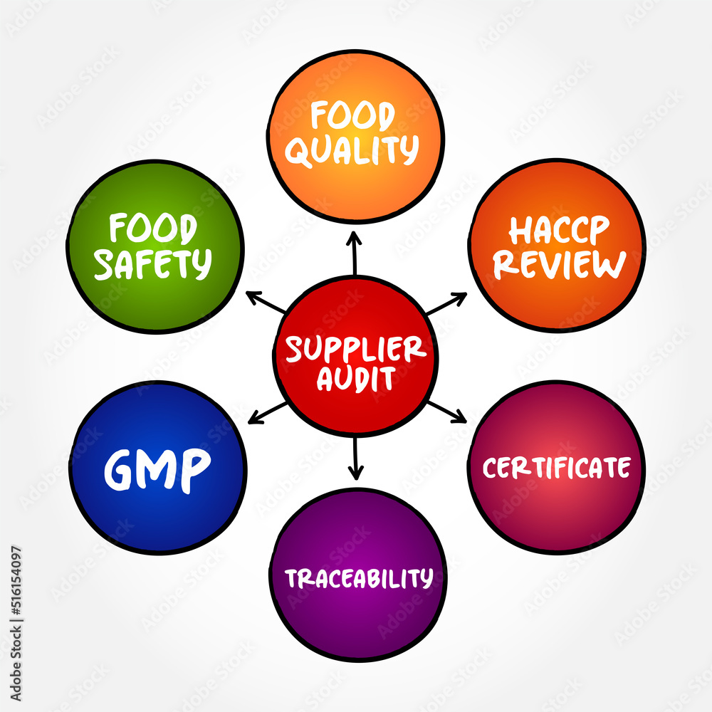 Supplier Audit is a tailor-made programme that assesses a supplier's quality systems, mind map concept for presentations and reports