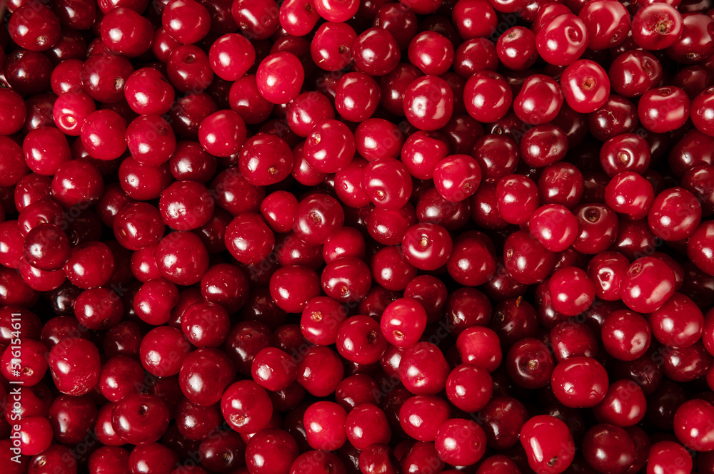 Fresh cherry close-up. Cherry Background. Sweet organic cherries. Red cherries background. Fresh cherry close-up. Cherry Background. Sweet organic cherries. Red cherries background.