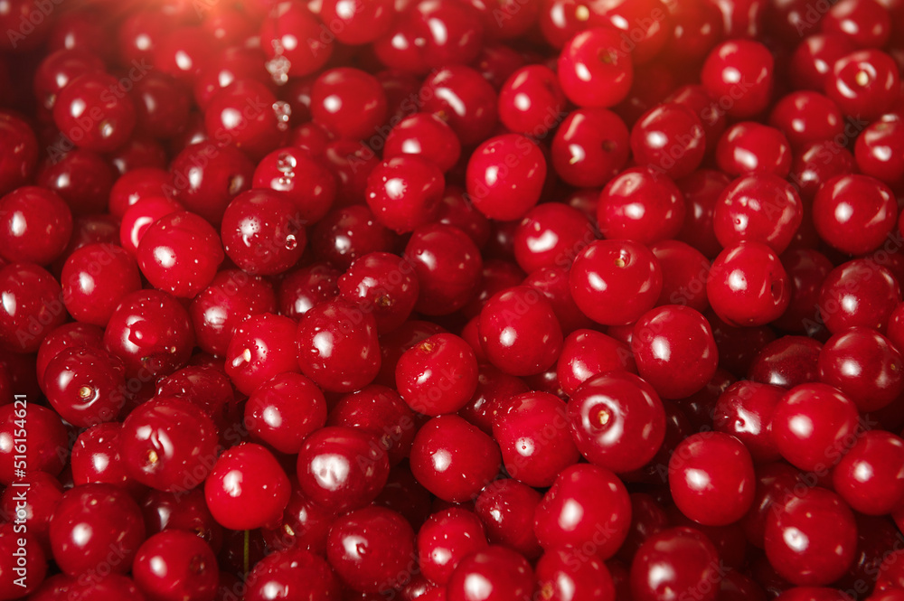 Fresh cherry close-up. Cherry Background. Sweet organic cherries. Red cherries background. Fresh cherry close-up. Cherry Background. Sweet organic cherries. Red cherries background.