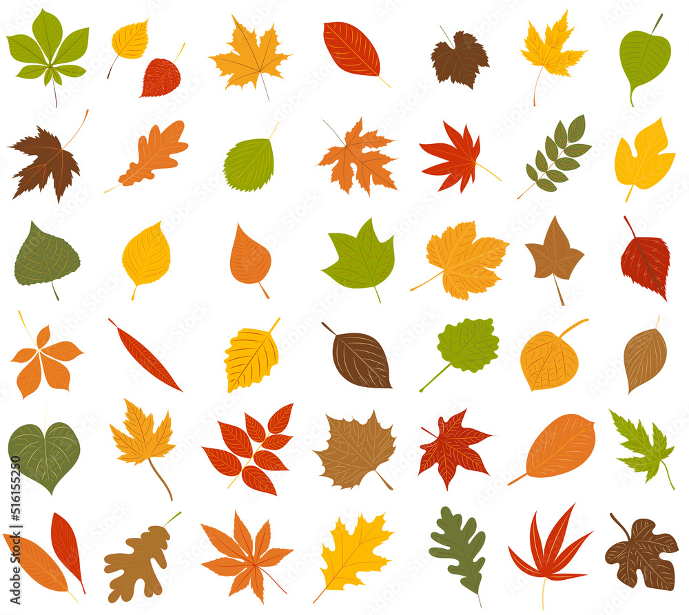 leaves set in flat style, isolated, vector leaves set in flat style, isolated, vector