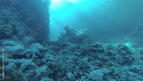 Wallpaper Mural In the caves of the Red Sea Torontodigital.ca