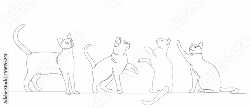 one continuous line drawing of a cat vector