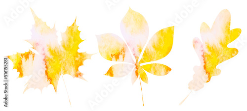 leaves watercolor silhouette, isolated, vector
