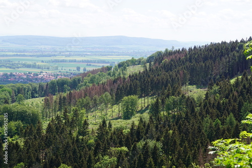 Natur (Germany)