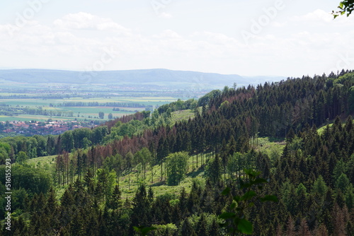 Natur (Germany)