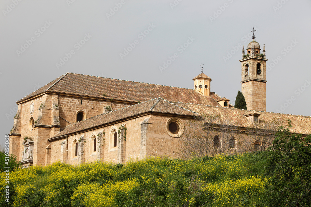 El Monasterio de Nuestra Se–ora de la Asunci—n, known as La Cartuja de Granada