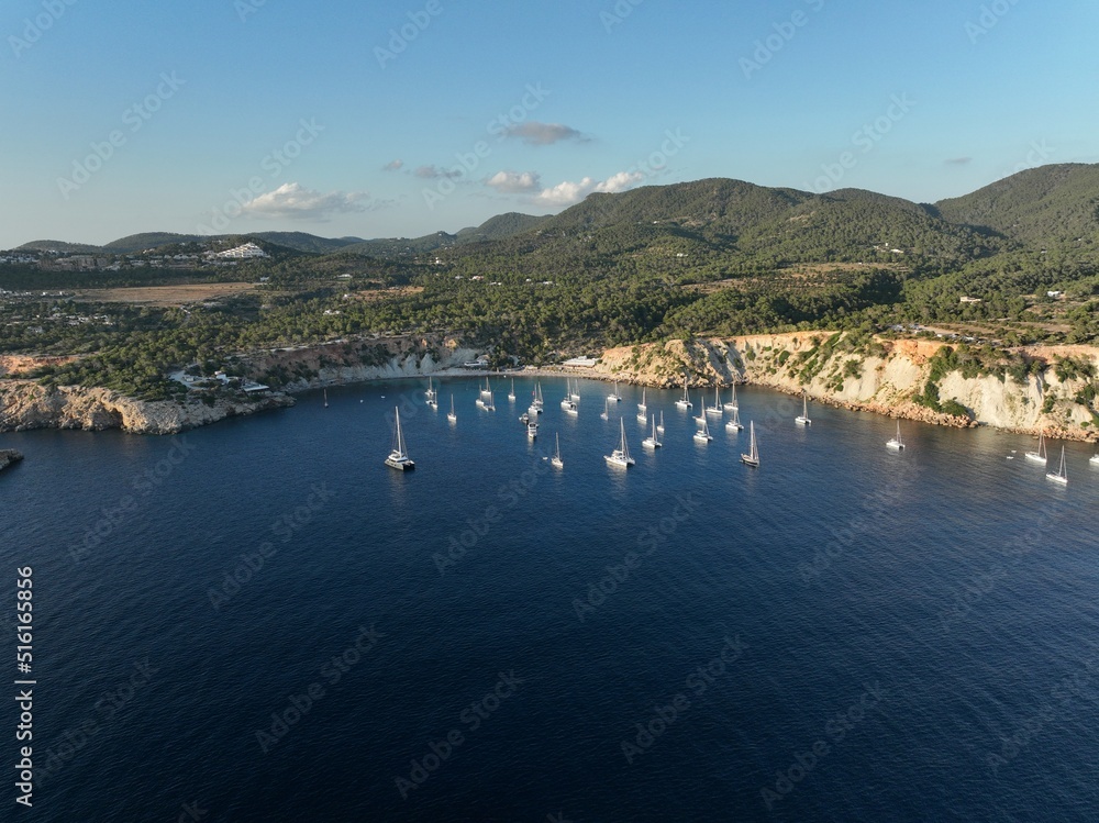 Aerial view of Cala dHort. Ibiza island. Spain.