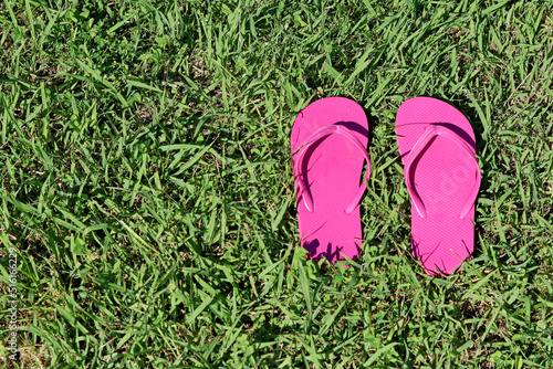 Pink flip-flops on a green lawn