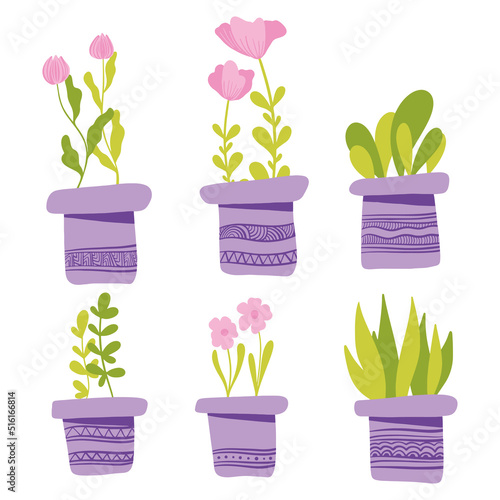 Set of simple Vector houseplants and flowers in pots. Vector flat illustration photo