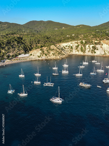 Aerial view of Cala dHort. Ibiza island. Spain.