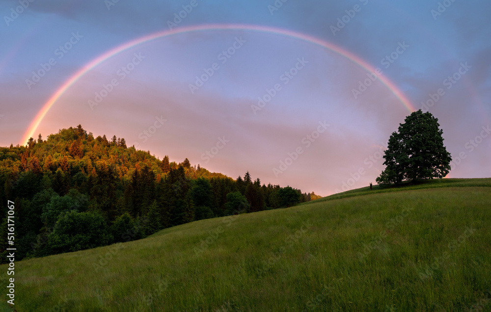 Naklejka premium rainbow over the mountains