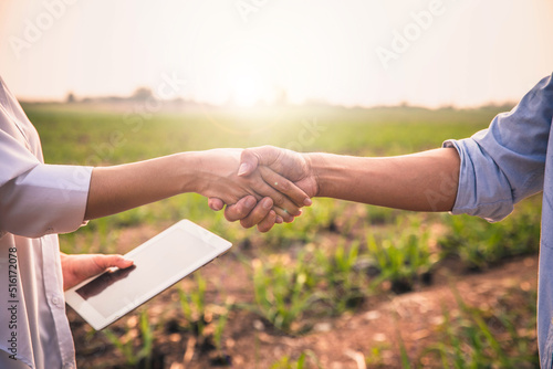 Handshake two farmer on the background of a wheat field at sunset. The concept of the agricultural business. farmer holding hands with beautiful woman with notebook in corn field.