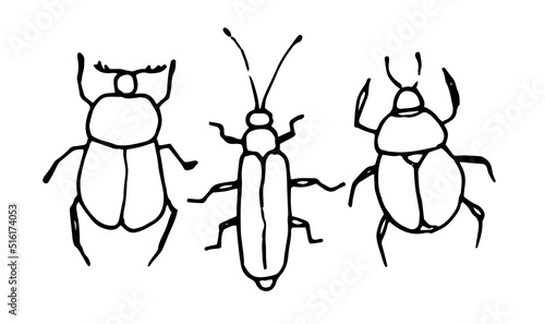 beetles hand-drawn in a doodle style. Vector set of isolated elements funny beetles of different shapes with a black outline on a white background for a design template © Анастасия Винтовкина